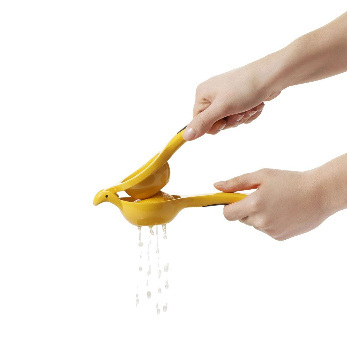 citrus-squeezer-d9 gg_1057962_4b.jpg