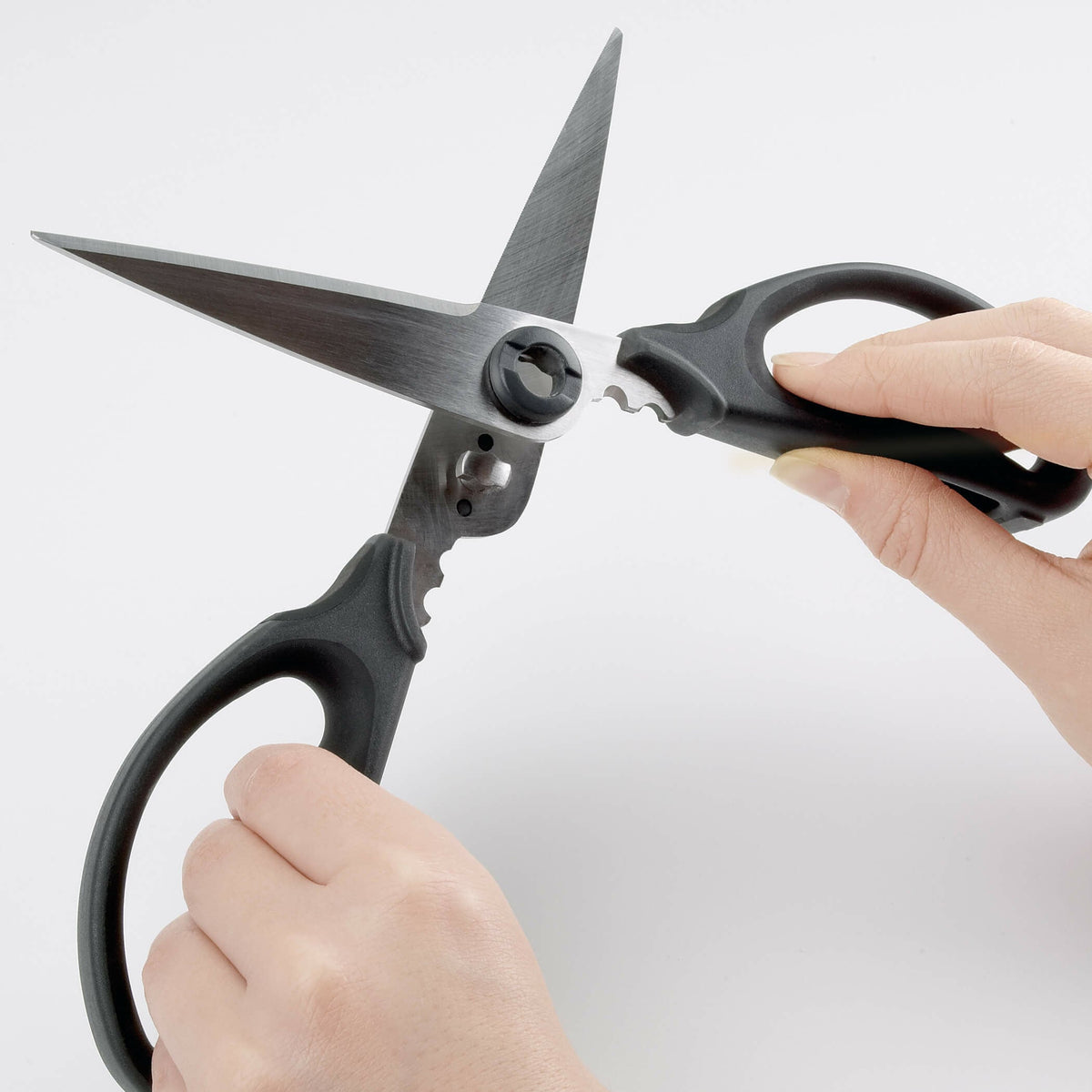 kitchen-and-herb-scissors-u0 gg_1072121_4_1_.jpg