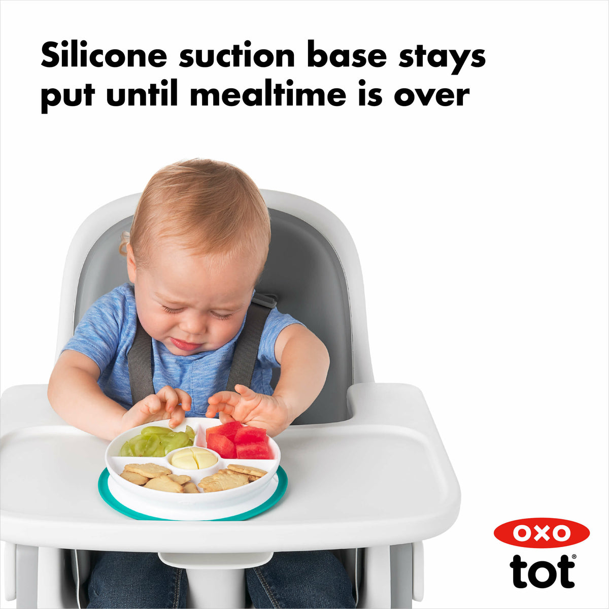 stick-and-stay-suction-divided-plate-m1 tot_61121200_8d_1_.jpg