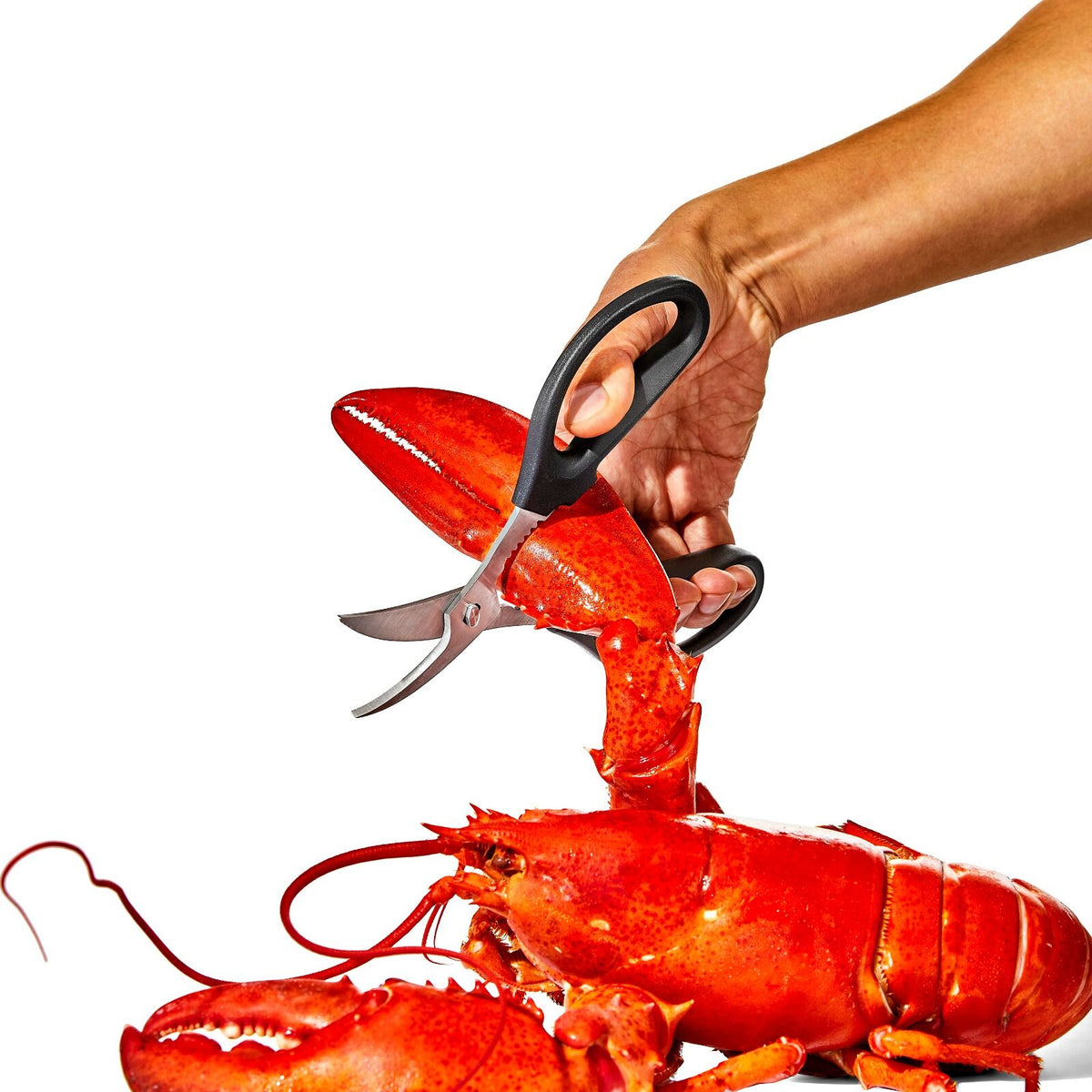 seafood-scissors-i0 gg_11350600_seafoodscissors_03_p.jpg