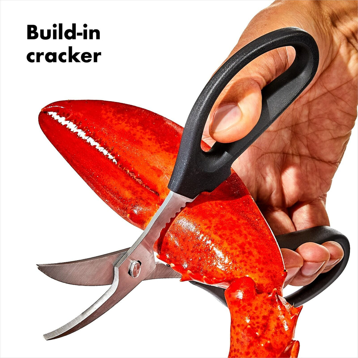 seafood-scissors-i0 gg_11350600_seafoodscissors_apdp_02.jpg