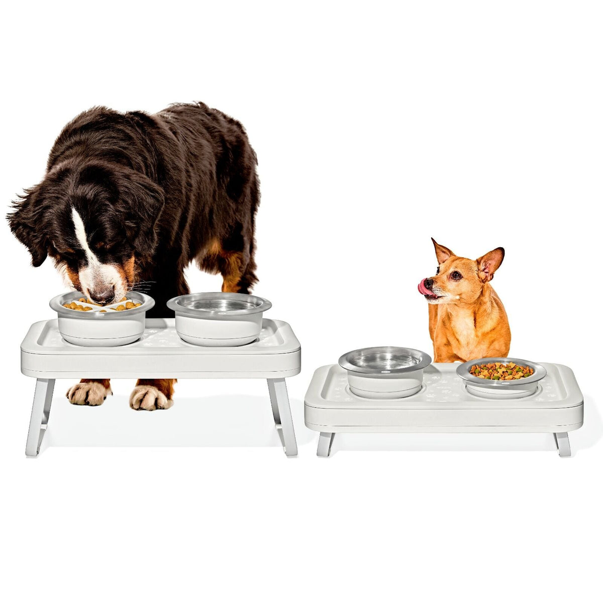 oxo-pet-adjustable-elevated-feeder-c2 pet_7102300_elevated-feeder_pdp_01.jpeg